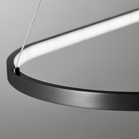 TORAR Ring lighting fixture