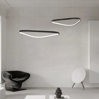 TORAR Ring lighting fixture