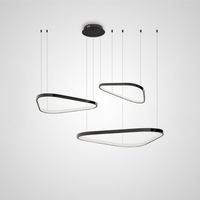 TORAR Ring lighting fixture