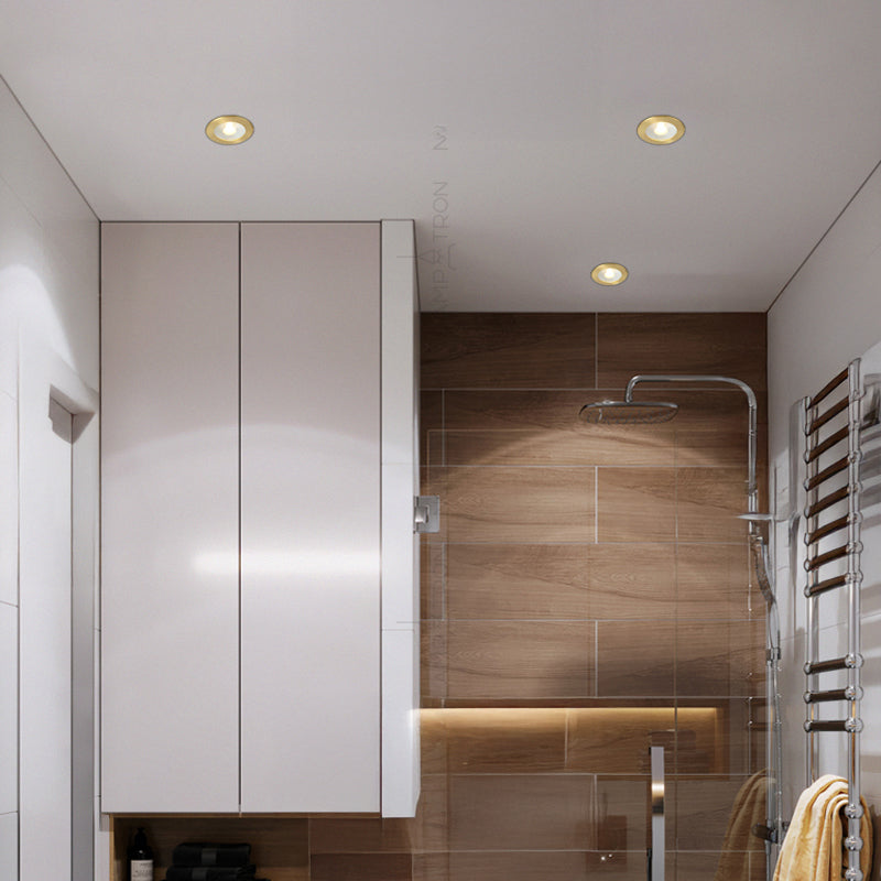 ACT Spot light fixture