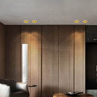 CALL Spot light fixture