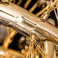 CELEBRITY Chandelier