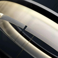 DANKERT Ring Lighting Fixture