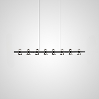 BLASIUS LONG Long lighting fixture