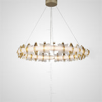 RENWER Ring lighting fixture