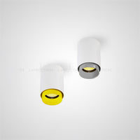 RESTON Spot light fixture