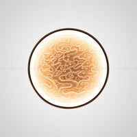 RODA WALL Wall light fixture