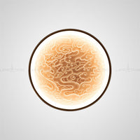 RODA WALL Wall light fixture