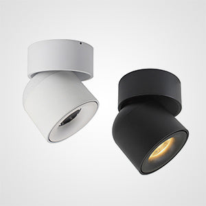 TINY A Spot light fixture