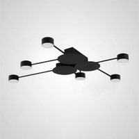 ASBRO Ceiling light fixture