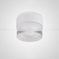 FEST Spot light fixture