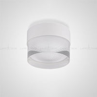 FEST Spot light fixture