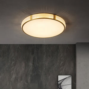 INGSE Ceiling light fixture