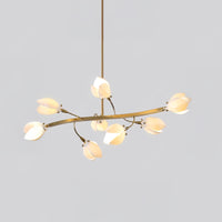 JULY Ring lighting fixture