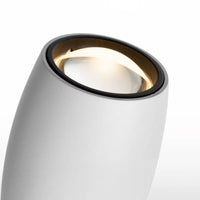 JURIS B Pendant light