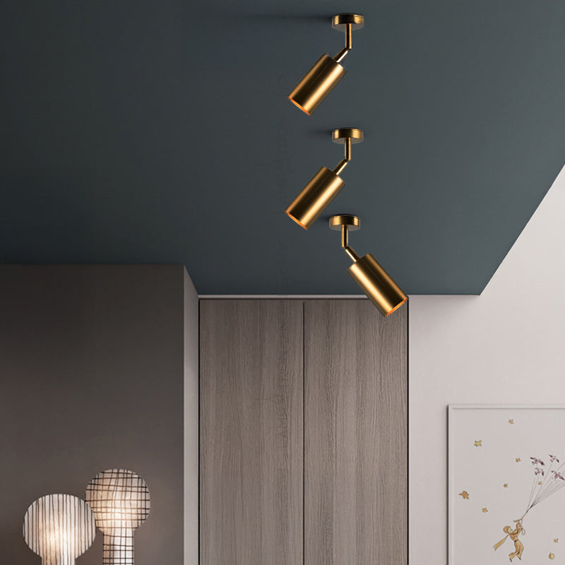 LINO B Spot light fixture