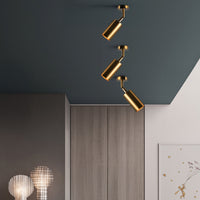 LINO B Spot light fixture