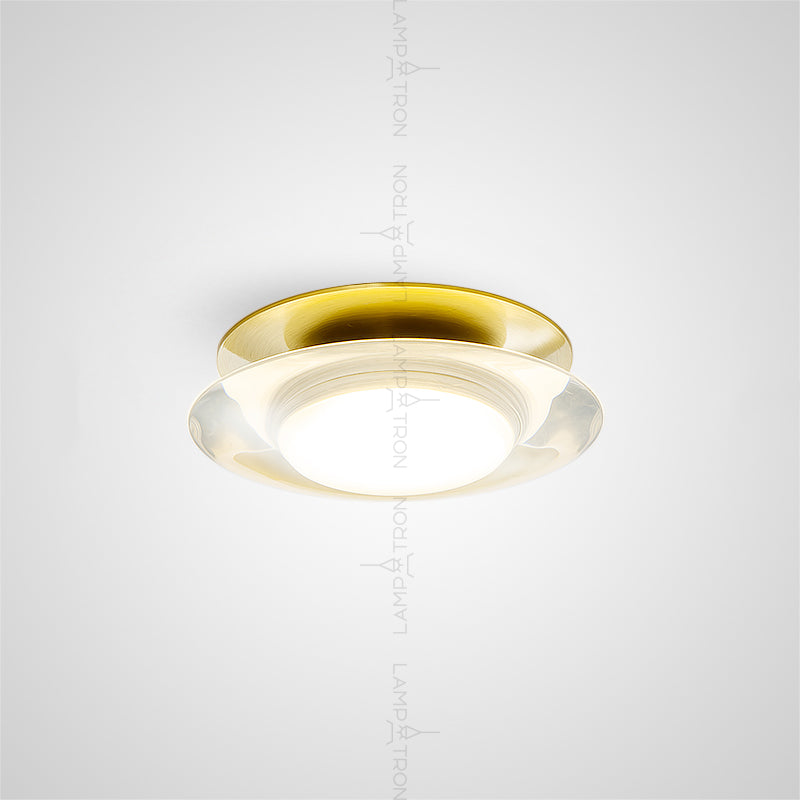 LIS Spot light fixture