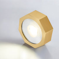 MAUD Spot light fixture