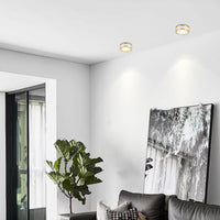 MEUD Spot light fixture