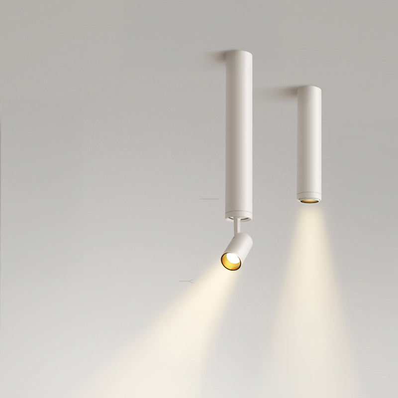 NET Spot light fixture