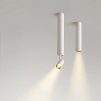 NET Spot light fixture