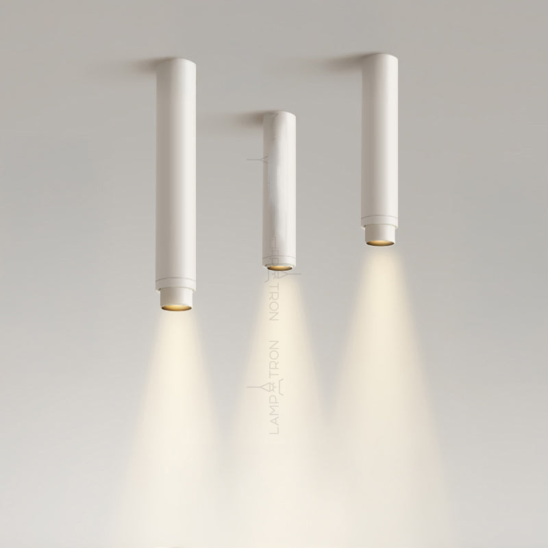 NET Spot light fixture