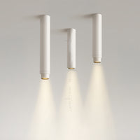 NET Spot light fixture