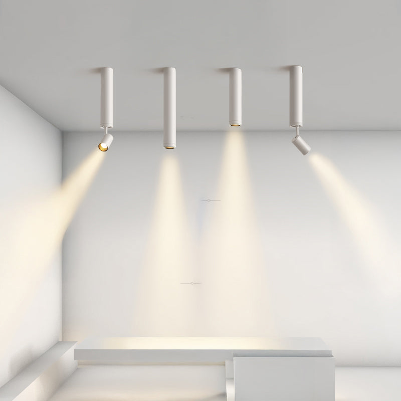 NET Spot light fixture