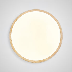 ONAR Ceiling light fixture