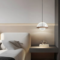 PAAL Pendant light