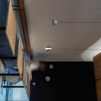 PALDIS Pendant light