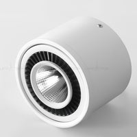 PASS Spot light fixture