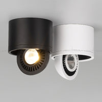 PASS Spot light fixture