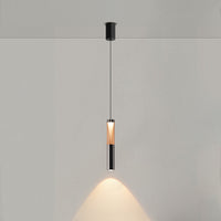 RAY Pendant light