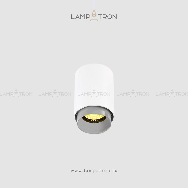 RESTON Spot light fixture