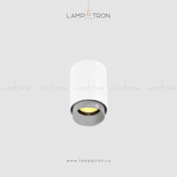 RESTON Spot light fixture