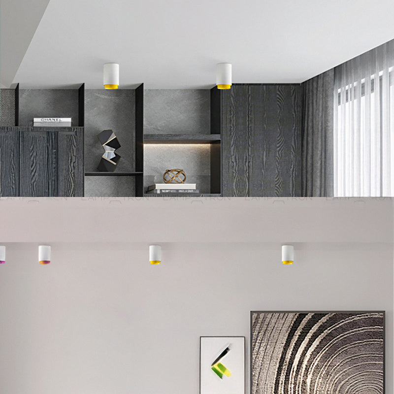 RESTON Spot light fixture