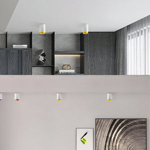 RESTON Spot light fixture