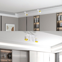 REXTON PLANK Spot light fixture