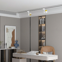 REXTON PLANK Spot light fixture