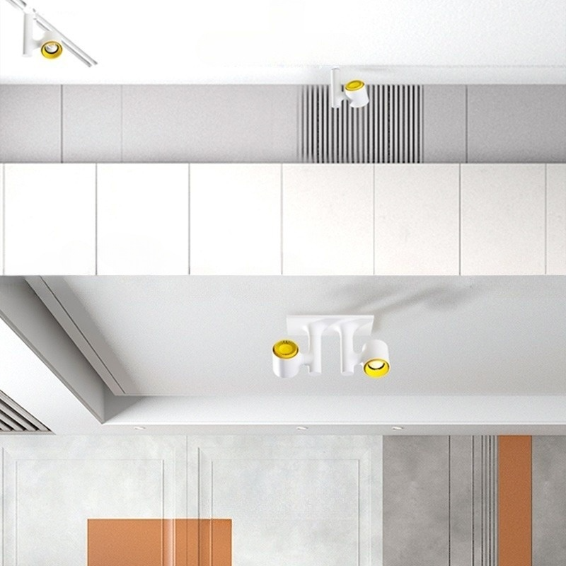 REXTON PLANK Spot light fixture