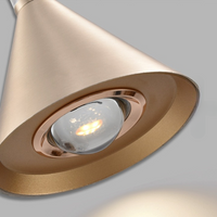 ROSANT Pendant Light