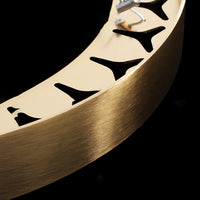 SALMINA Ring lighting fixture