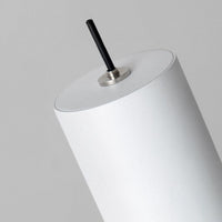 SEGERT Pendant light