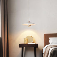 SEGERT Pendant light