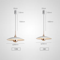 SEGERT Pendant light