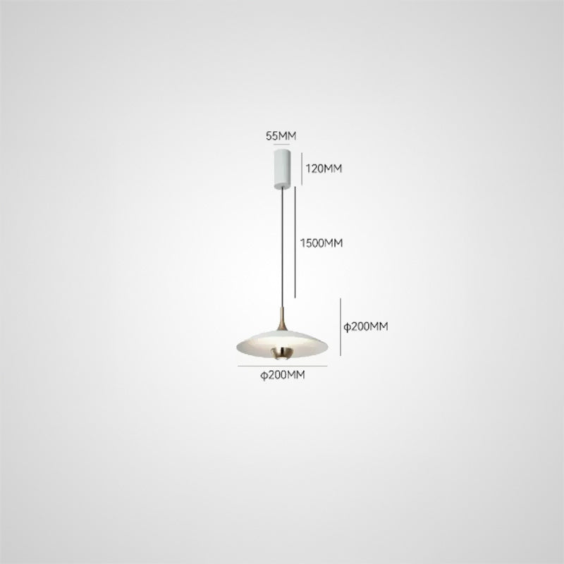 SEGERT Pendant light