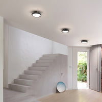 SEGOL SP Spot light fixture