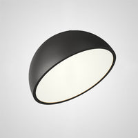 SELDEN Ceiling light fixture
